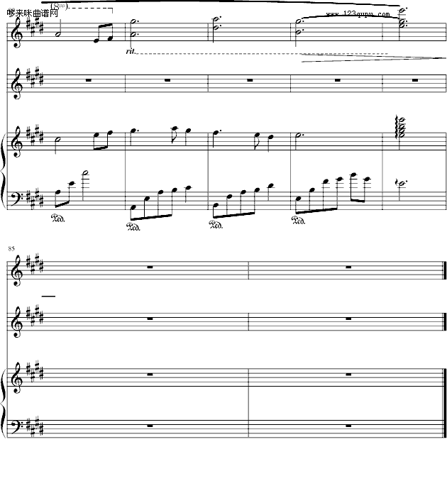 梦中的相遇-Bach7