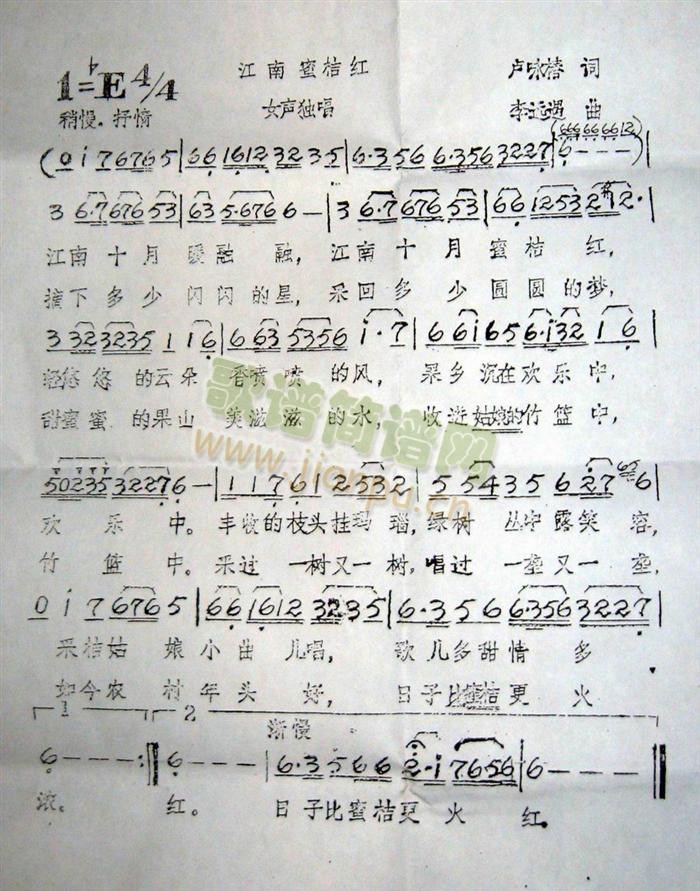 江南蜜桔红2