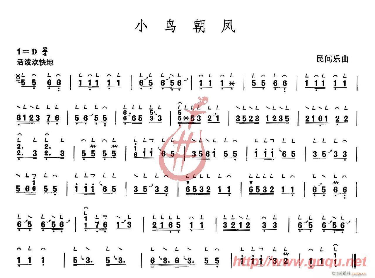 小鸟朝凤1