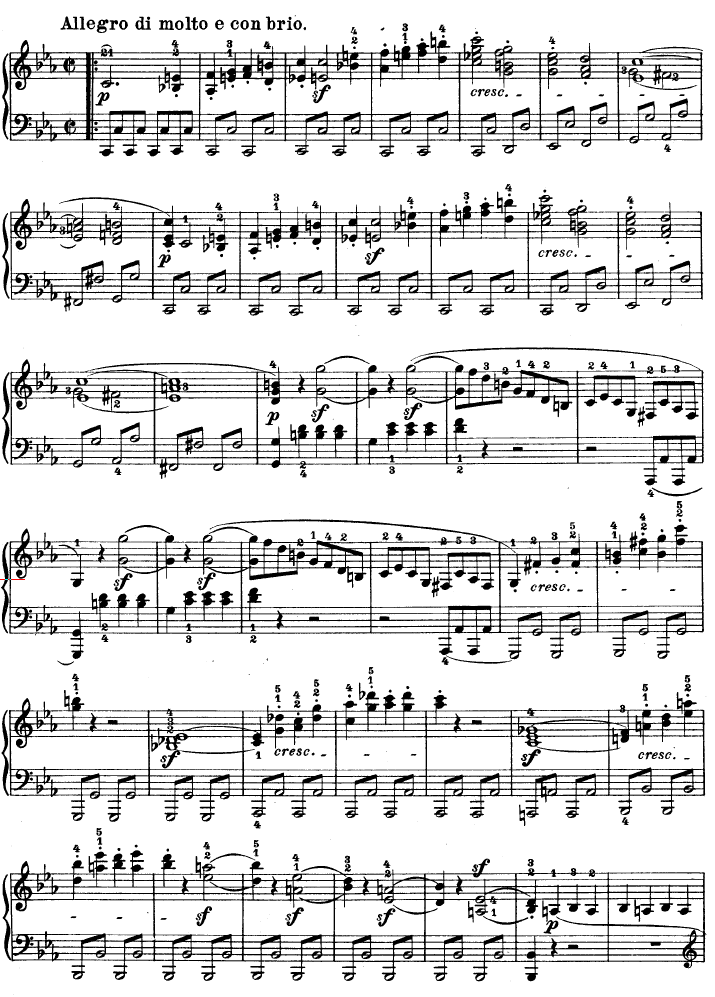 C小调第八琴奏鸣曲（悲怆）Op―13-钢琴谱(钢琴曲)-贝多芬-beethoven2