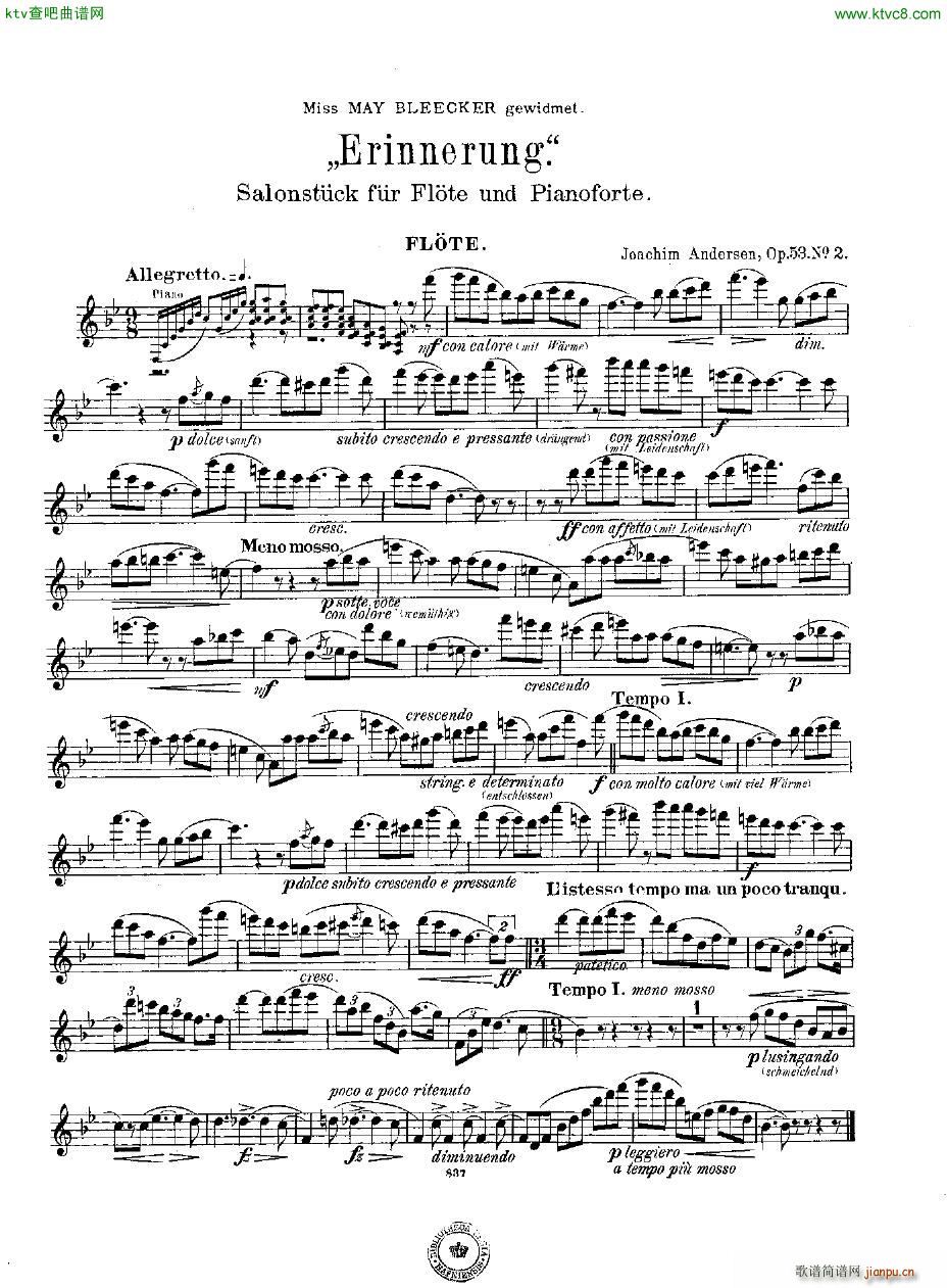 Andersen op 53 no 2 Erinnerung fl pno6
