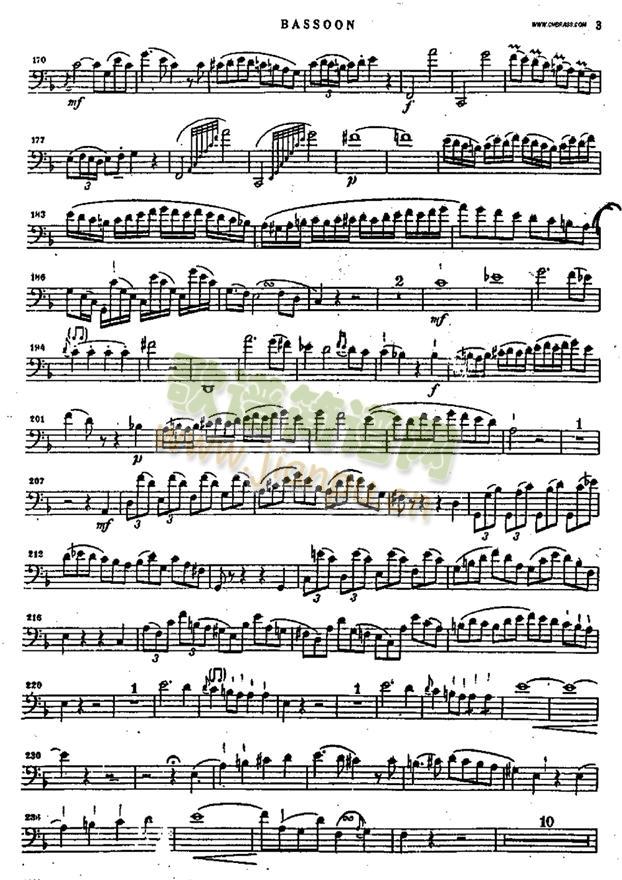 bassoon3