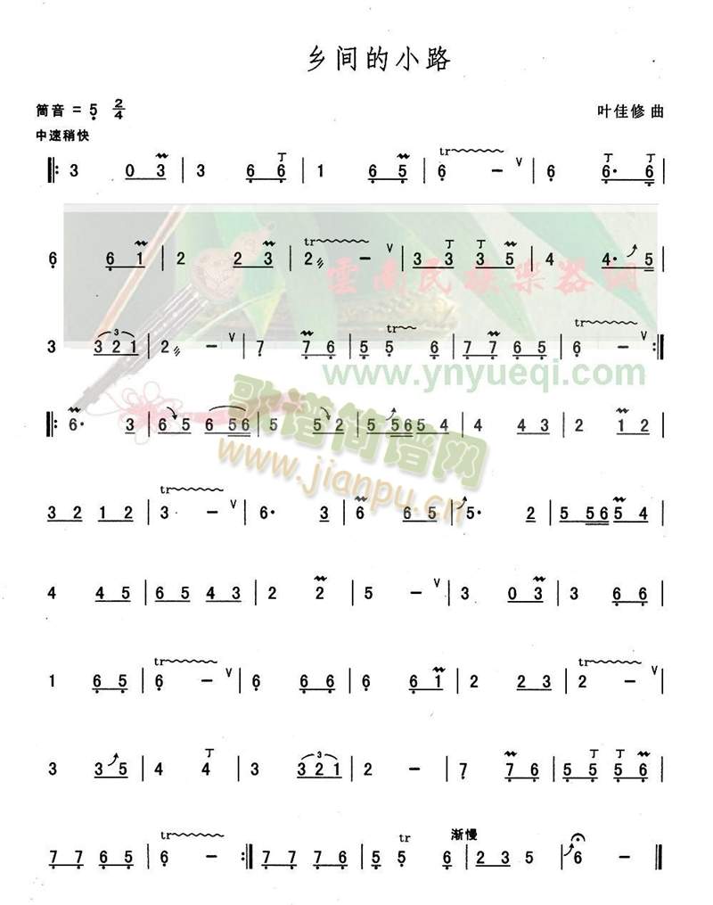 乡间的小路1