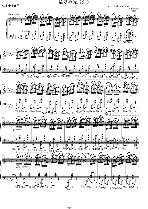 练习曲Op.25-9-肖邦1