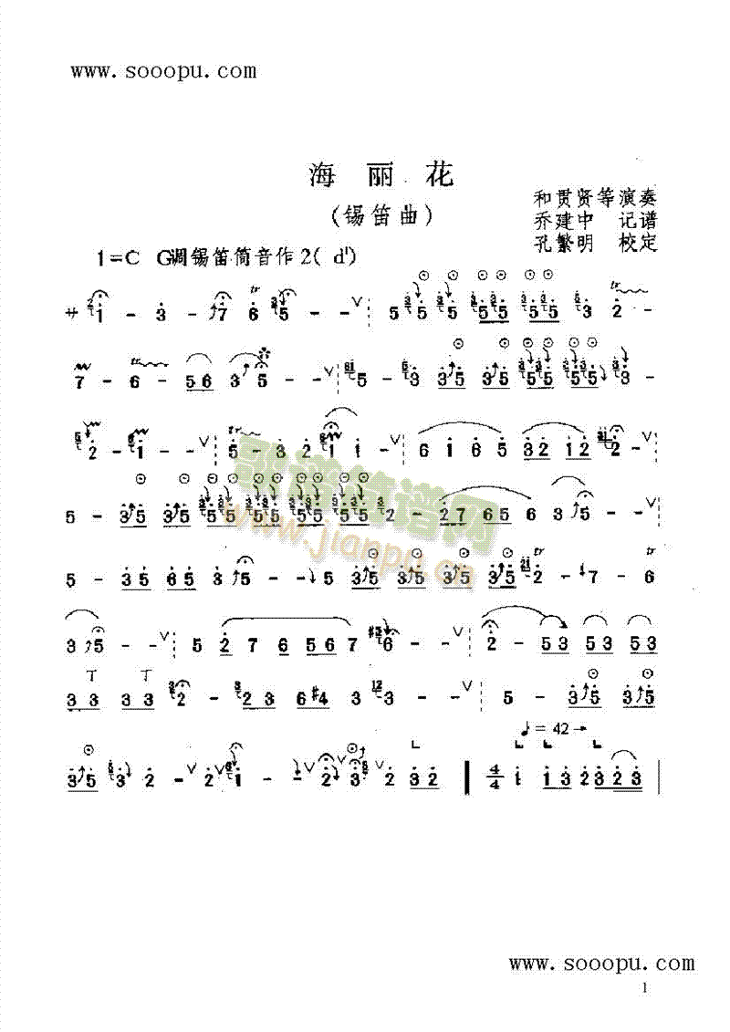 海丽花 民乐类 唢呐1