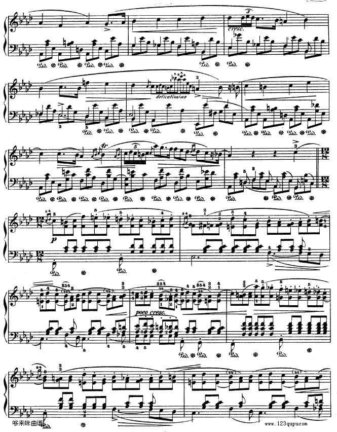 B大调夜曲作品32号 -OP32 NO.2-肖邦5