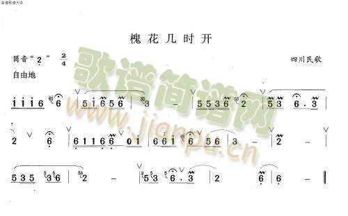 槐花几时开1