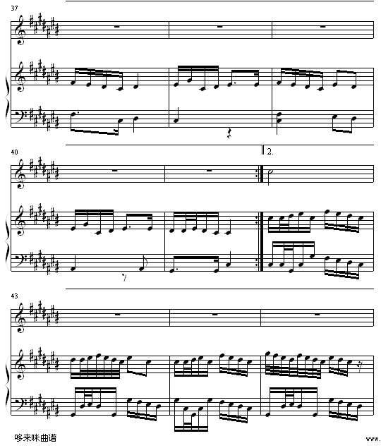 香水百合-张韶涵5