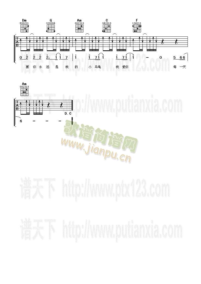 小乌龟3