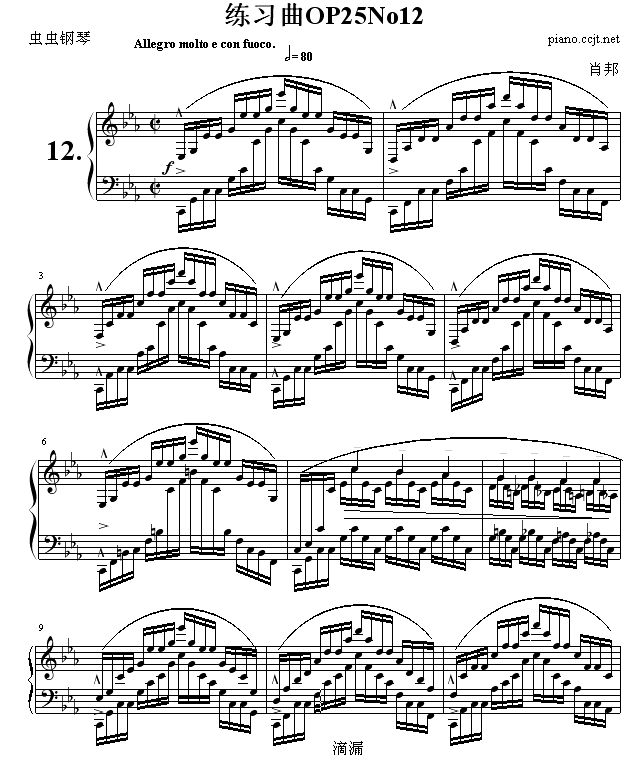 练习曲OP25No121