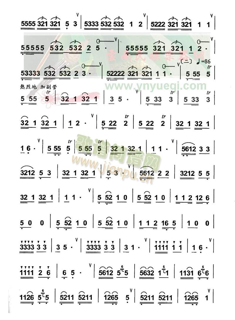 花开德昂山2