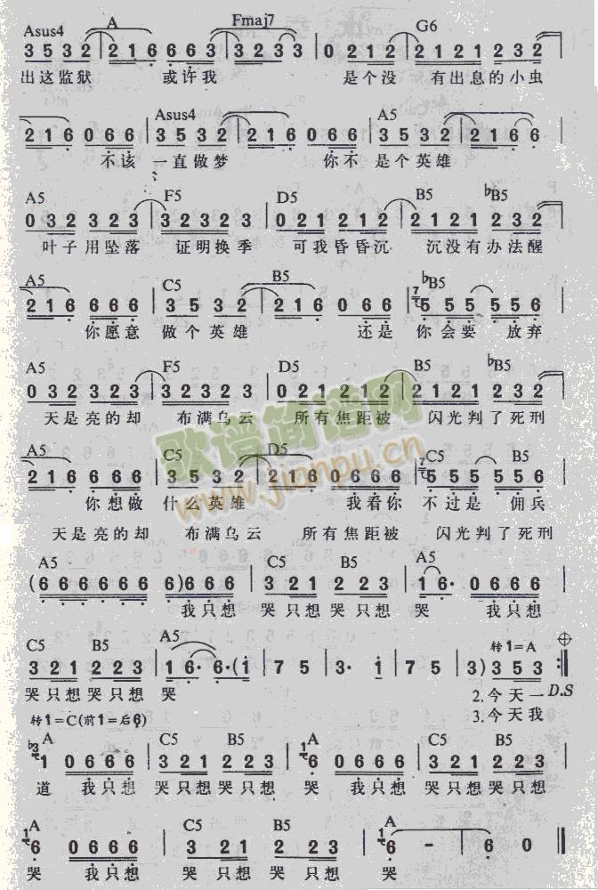 黑色柳丁2