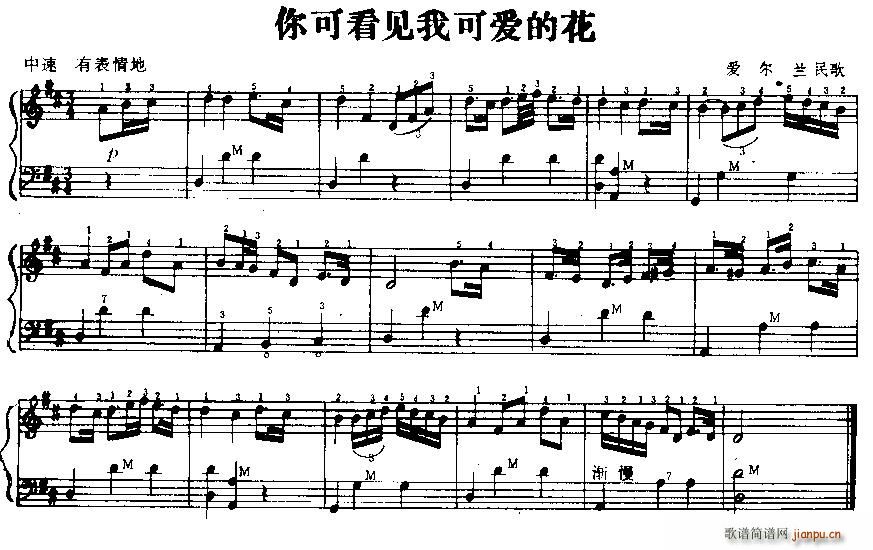 你可看见我可爱的花(爱尔兰民歌)1