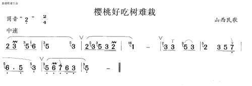 樱桃好吃树难栽1