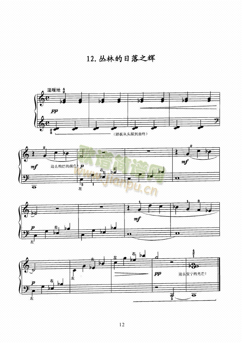 热带丛林中的一天 键盘类 钢琴12