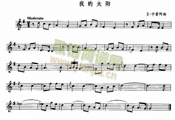 我的太阳1