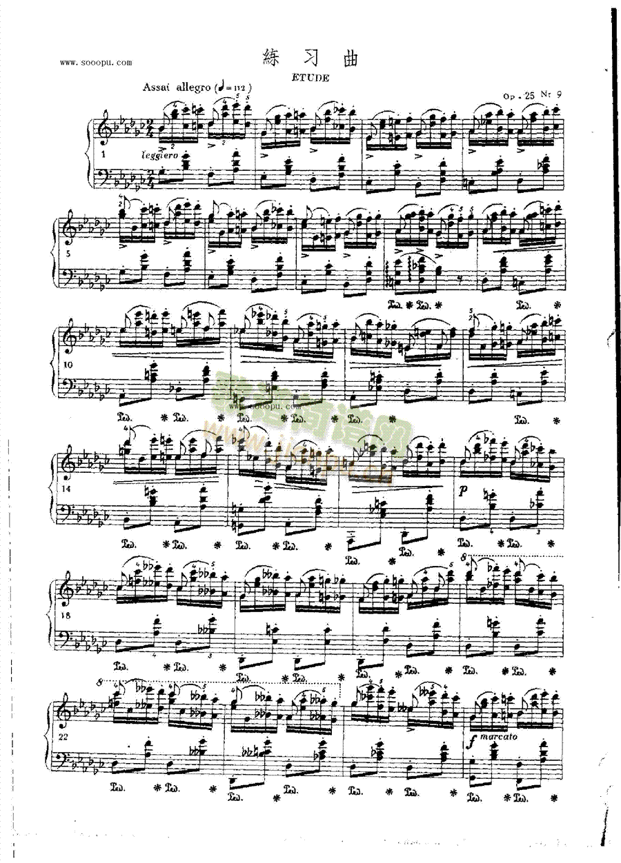 练习曲OP.25 Nr9 键盘类 钢琴1