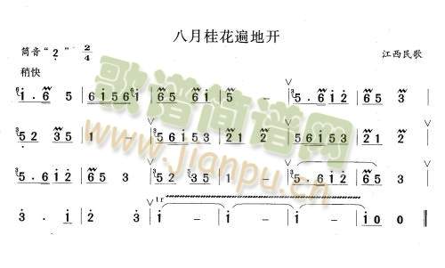 八月桂花遍地开1