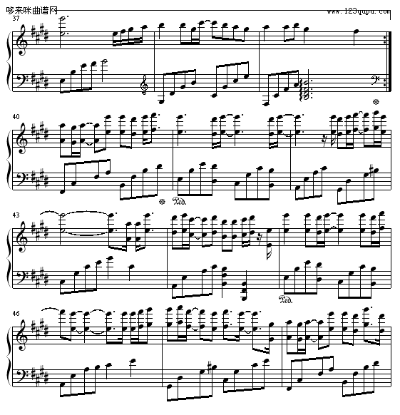 Life is...-平井坚4