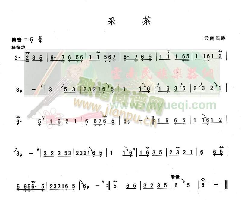 采茶1