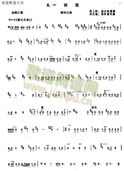 秦皇岛《一枝花》1