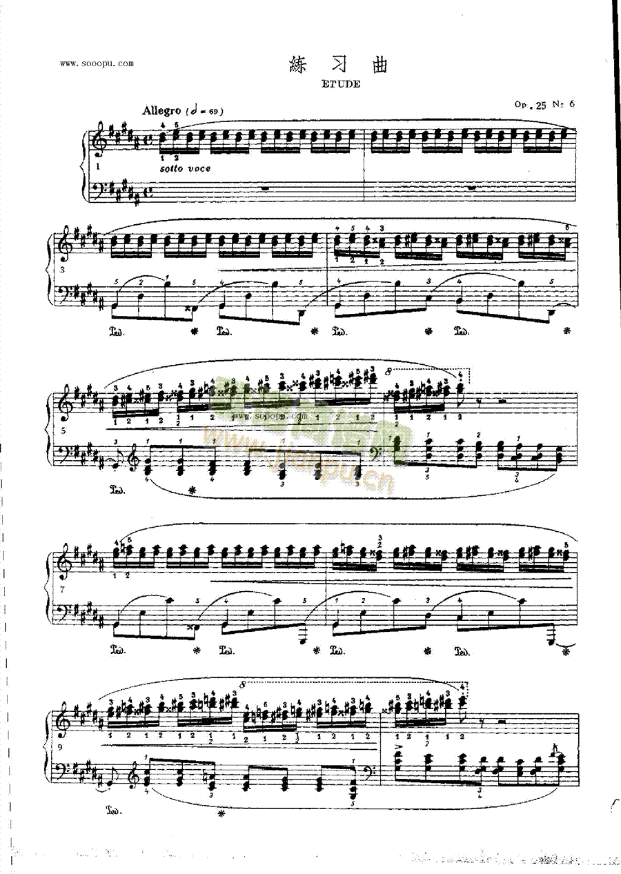 练习曲OP.25  Nr6 键盘类 钢琴1