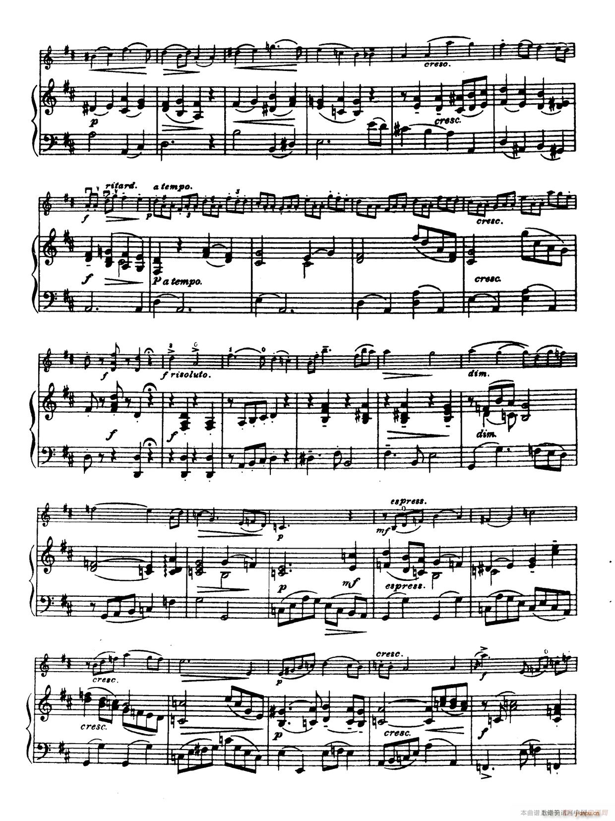 D大调学生协奏曲（塞茨作品第14号）2