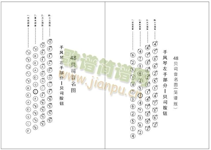 手风琴 贝司音名图1