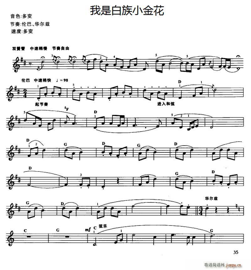 我是白族小金花1