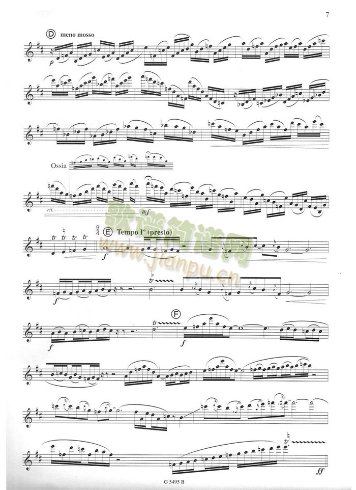 须川展也的《Fuzzy Bird Sonata》(Fly, Bird)毛绒鸟奏鸣曲三2