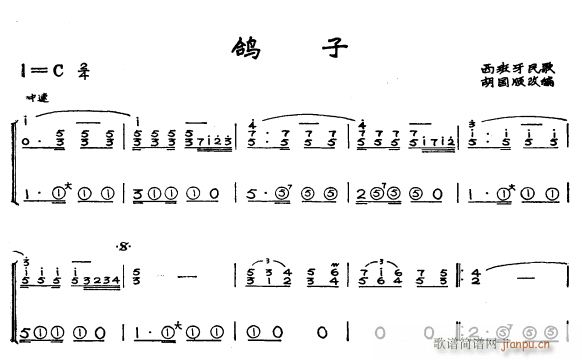 鸽子11