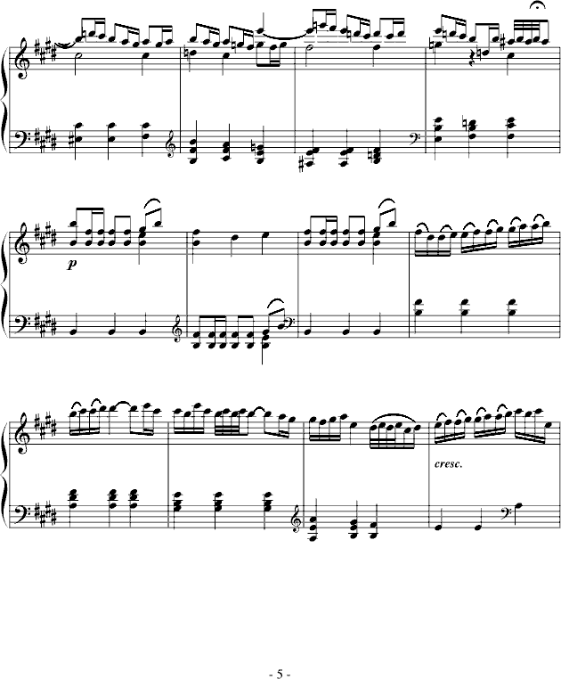 E大调奏鸣曲5