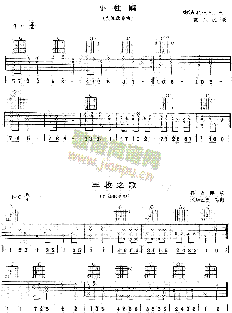 小杜鹃1
