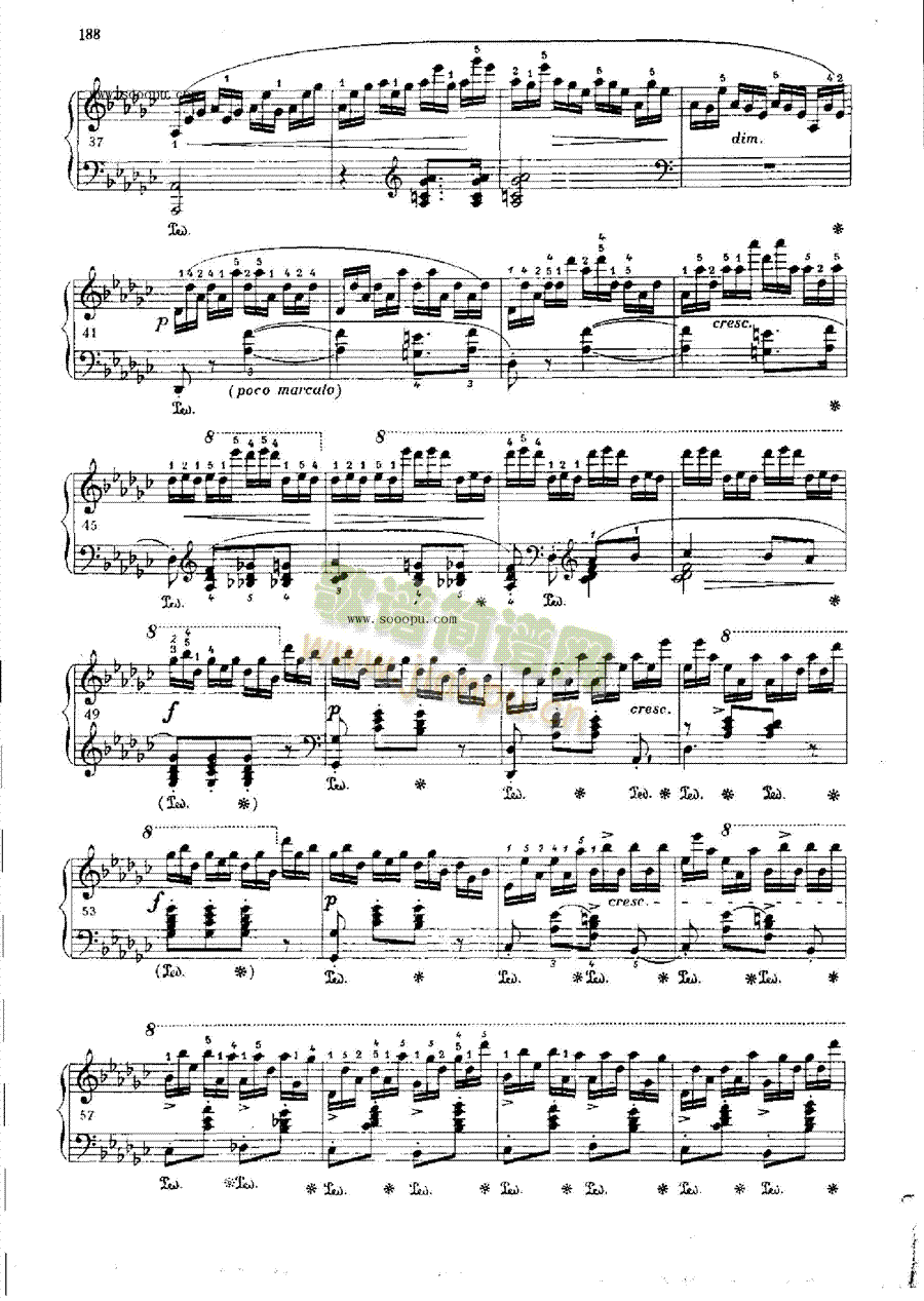 练习曲OP.10  Nr5 键盘类 钢琴3
