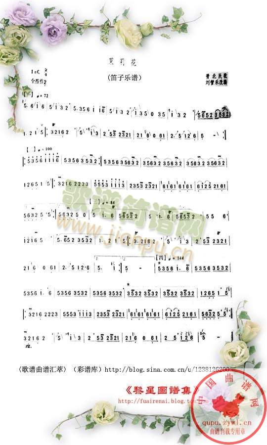 茉莉花1