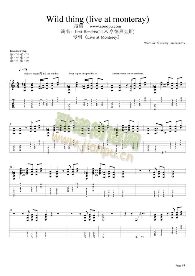 Wild thing (live at monteray)1