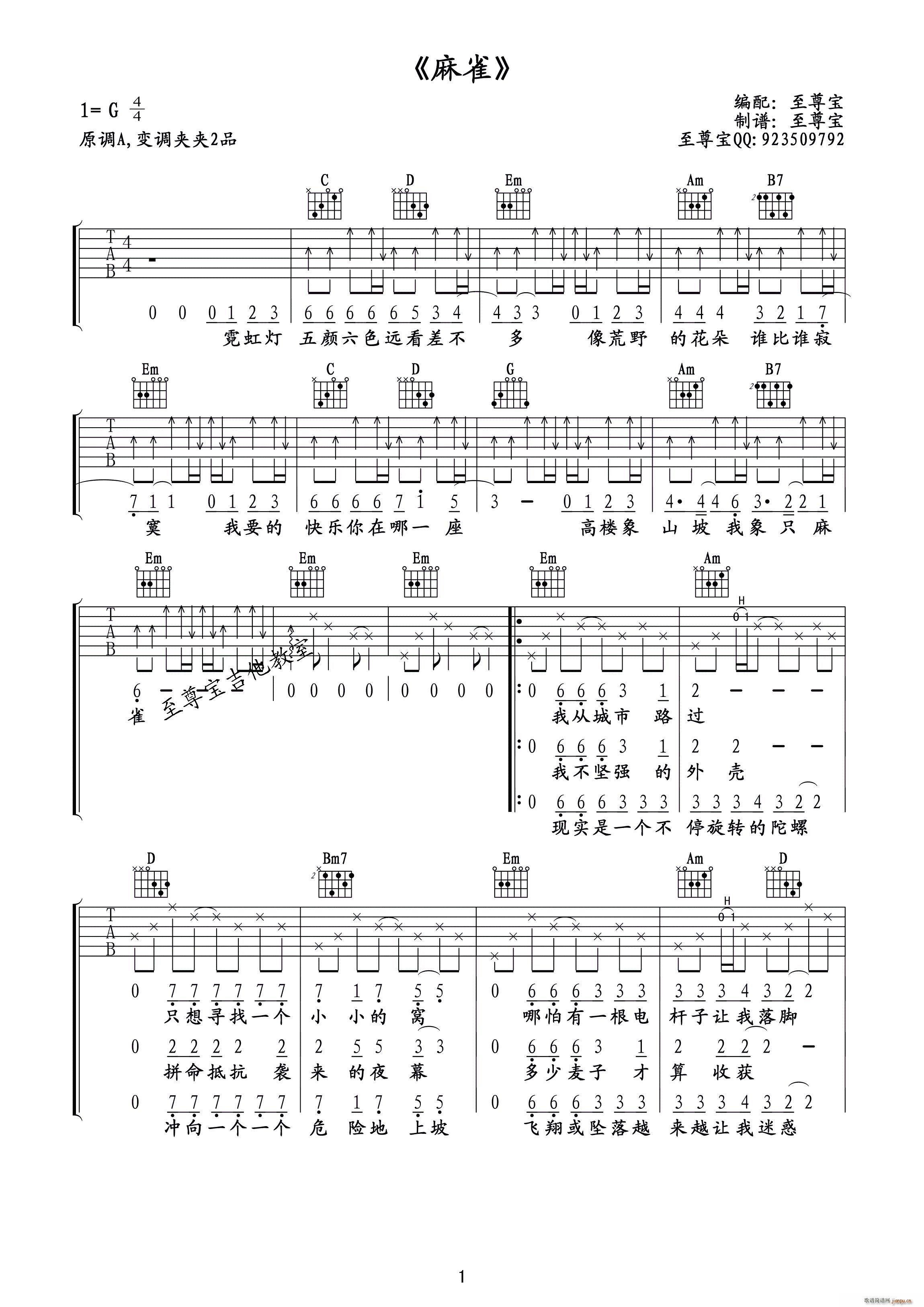 麻雀(吉他 )_旭日阳刚1