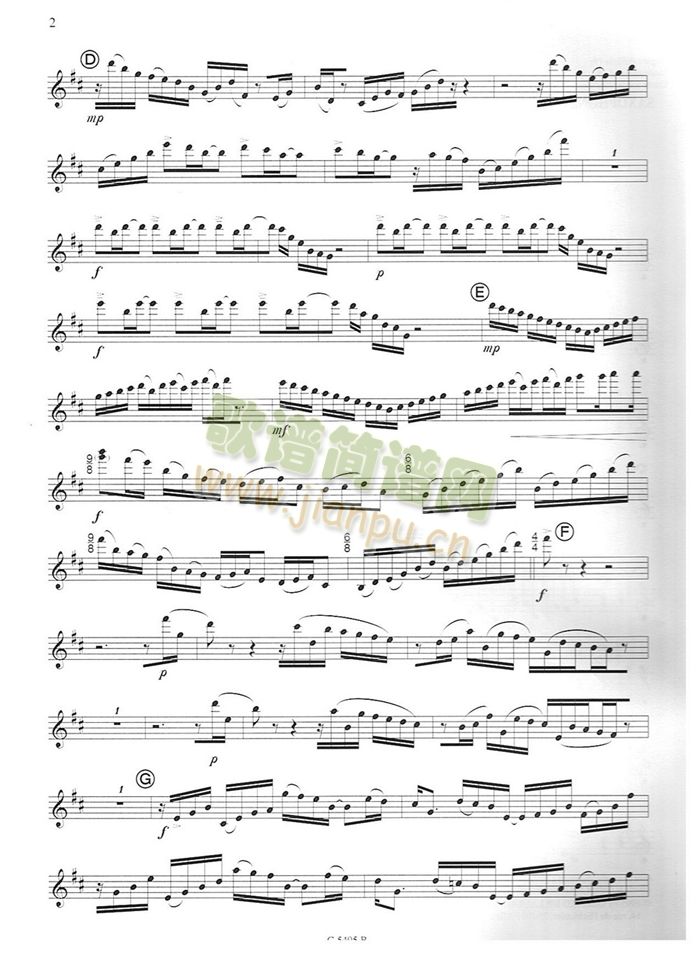 须川展也的《Fuzzy Bird Sonata》(Run, Bird)毛绒鸟奏鸣曲一2