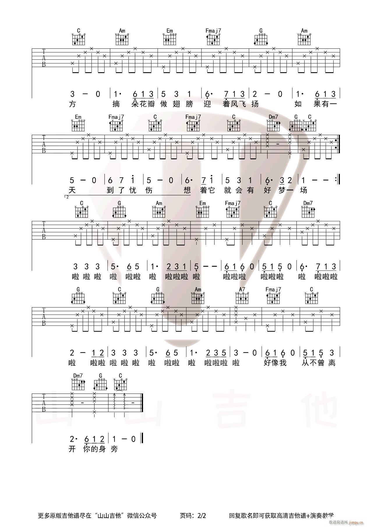 萱草花 ( C调简单版)_张小斐2
