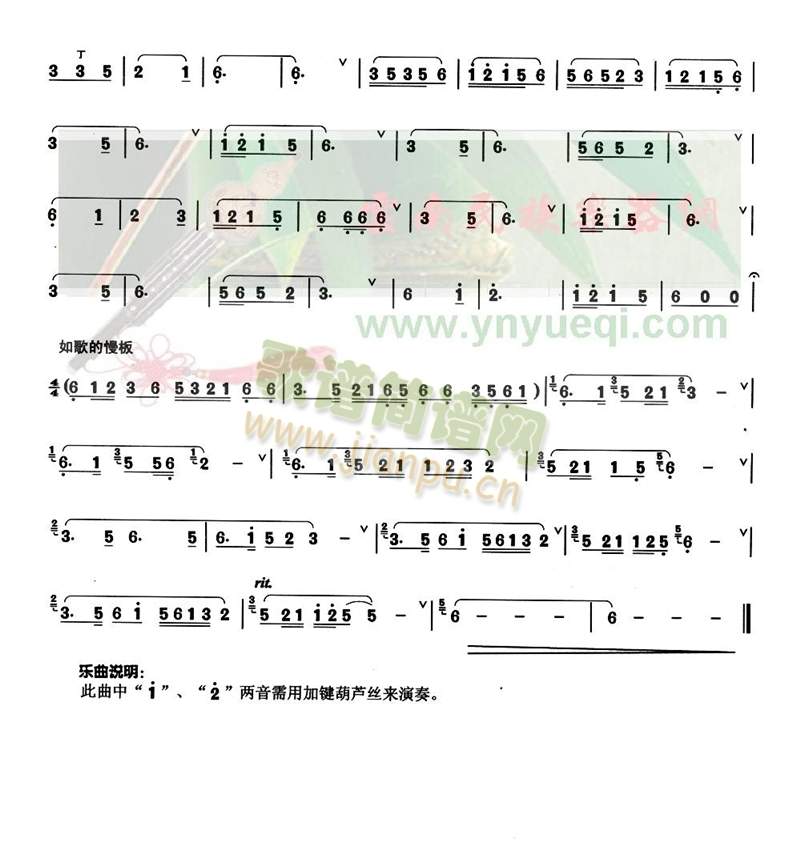 竹林抒情2