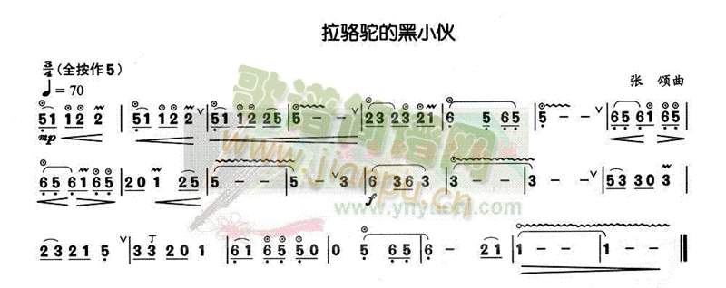 拉骆驼的黑小伙1