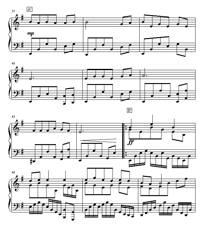 丁香花4