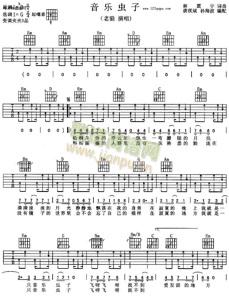 音乐虫子 (老狼)1