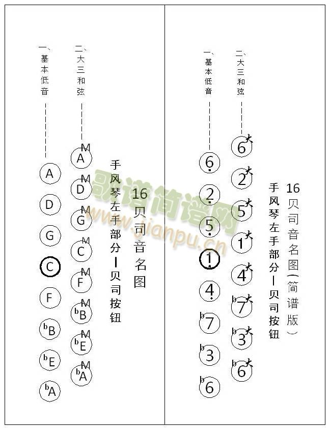 手风琴 贝司音名图3