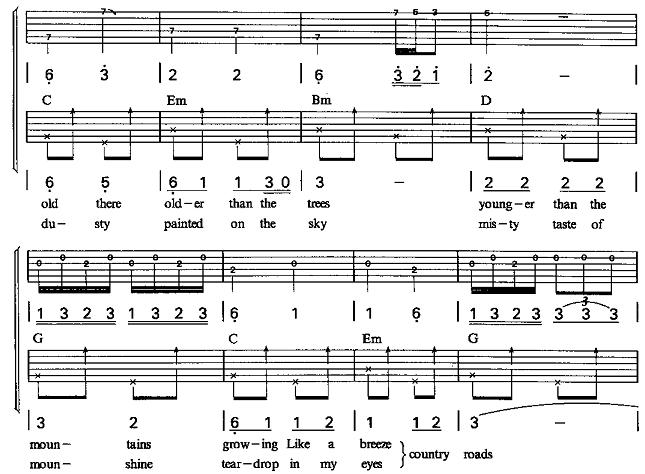 乡村路，带我回家（双吉他）2