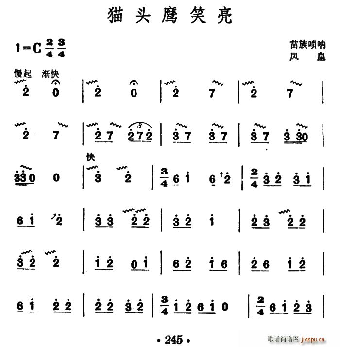 猫头鹰笑亮(苗族唢呐)1