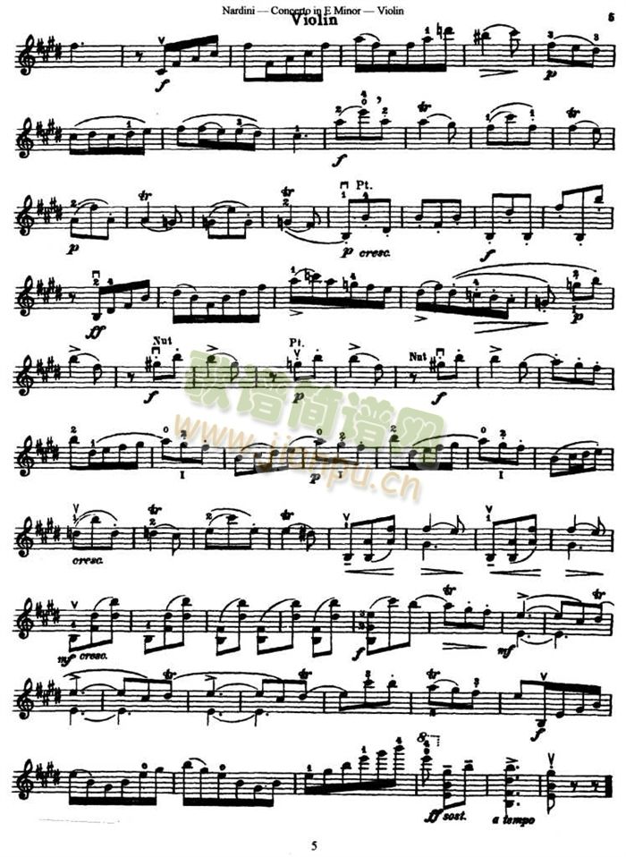 Concerto in E Minjor5
