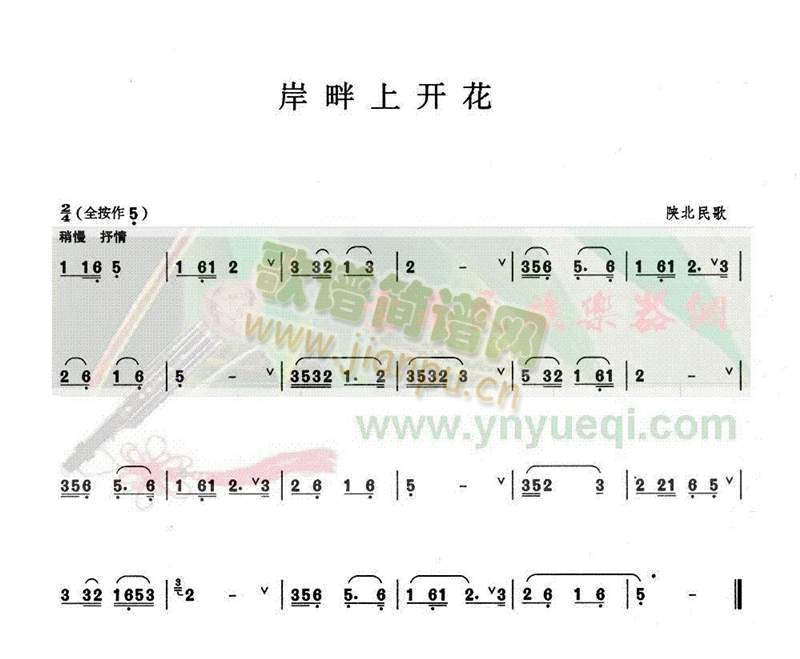 岸畔上开花1
