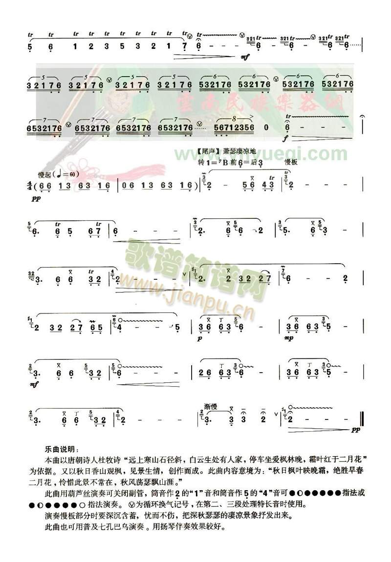 秋枫4