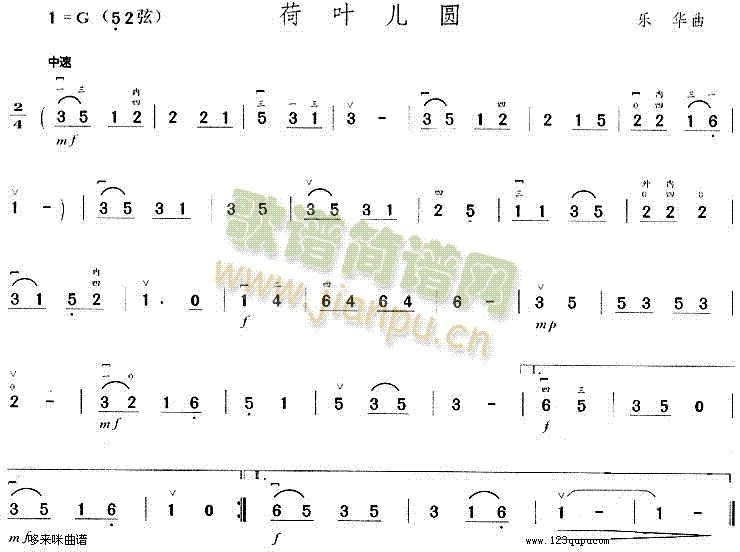 荷叶儿圆1